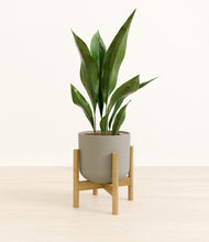 Load image into Gallery viewer, Sage Green stand:bamboo