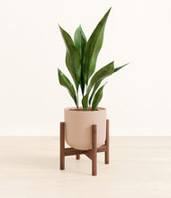 Load image into Gallery viewer, Sandy Pink stand:walnut