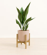 Load image into Gallery viewer, Sandy Pink stand:bamboo