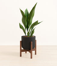 Load image into Gallery viewer, Stone Black stand:walnut