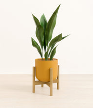 Load image into Gallery viewer, Sunset Orange stand:bamboo