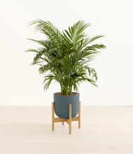 Load image into Gallery viewer, Iron Gray stand:bamboo