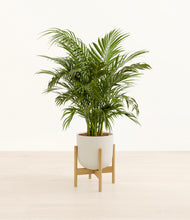 Load image into Gallery viewer, Natural Bamboo stand:bamboo