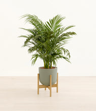 Load image into Gallery viewer, Sage Green stand:bamboo