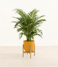 Load image into Gallery viewer, Sunset Orange stand:bamboo