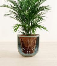Load image into Gallery viewer, Sage Green stand:all