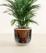 Load image into Gallery viewer, Natural Bamboo stand:all
