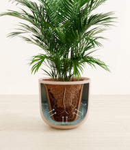 Load image into Gallery viewer, Sandy Pink stand:all