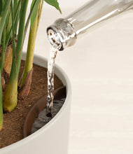 Load image into Gallery viewer, Natural Bamboo stand:all