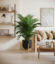 Load image into Gallery viewer, Stone Black stand:bamboo