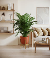 Load image into Gallery viewer, Earth Red stand:bamboo