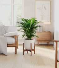 Load image into Gallery viewer, Natural Bamboo stand:walnut
