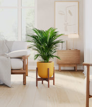 Load image into Gallery viewer, Sunset Orange stand:walnut