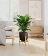 Load image into Gallery viewer, Stone Black stand:bamboo