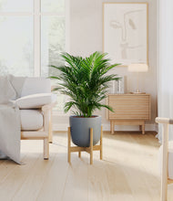 Load image into Gallery viewer, Iron Gray stand:bamboo