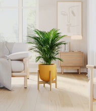 Load image into Gallery viewer, Sunset Orange stand:bamboo
