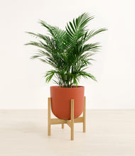 Load image into Gallery viewer, Earth Red stand:bamboo