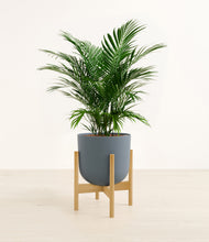 Load image into Gallery viewer, Iron Gray stand:bamboo