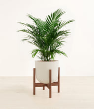 Load image into Gallery viewer, Natural Bamboo stand:walnut