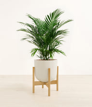 Load image into Gallery viewer, Natural Bamboo stand:bamboo