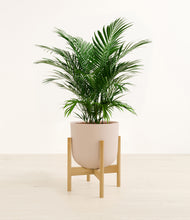 Load image into Gallery viewer, Sandy Pink stand:bamboo