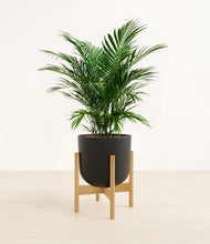 Load image into Gallery viewer, Stone Black stand:bamboo