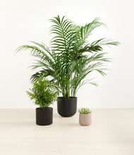 Load image into Gallery viewer, Charcoal