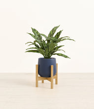 Load image into Gallery viewer, Deep Navy stand:bamboo