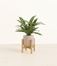 Load image into Gallery viewer, Eternal Gray stand:bamboo