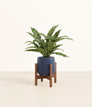 Load image into Gallery viewer, Deep Navy stand:walnut