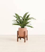 Load image into Gallery viewer, Calm Rose stand:walnut