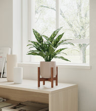 Load image into Gallery viewer, Eternal Gray stand:walnut