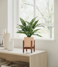 Load image into Gallery viewer, Gentle Pink stand:walnut