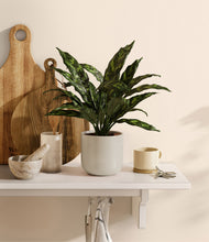 Load image into Gallery viewer, Cotton White