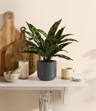 Load image into Gallery viewer, Iron Gray