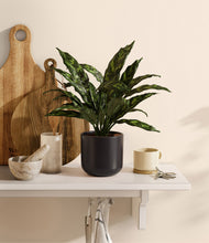 Load image into Gallery viewer, Stone Black