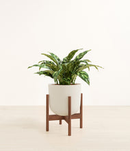 Load image into Gallery viewer, Natural Bamboo stand:walnut