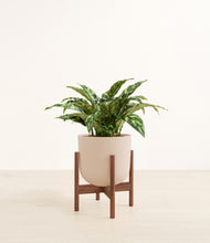 Load image into Gallery viewer, Sandy Pink stand:walnut