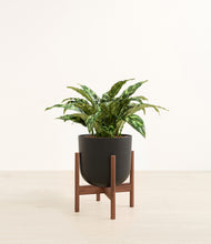 Load image into Gallery viewer, Stone Black stand:walnut