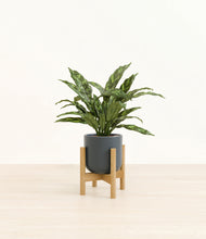 Load image into Gallery viewer, Iron Gray stand:bamboo