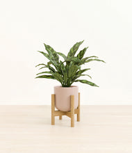 Load image into Gallery viewer, Sandy Pink stand:bamboo