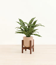 Load image into Gallery viewer, Glossy Pink stand:walnut