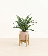 Load image into Gallery viewer, Sandy Pink stand:bamboo
