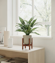 Load image into Gallery viewer, Sage Green stand:walnut