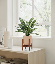 Load image into Gallery viewer, Sandy Pink stand:walnut