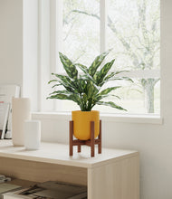 Load image into Gallery viewer, Sunset Orange stand:walnut