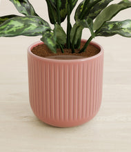 Load image into Gallery viewer, Striped Rose Pink
