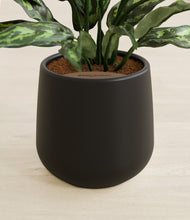 Load image into Gallery viewer, Black stand:all