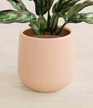 Load image into Gallery viewer, Gentle Pink stand:all