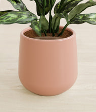 Load image into Gallery viewer, Calm Rose stand:all